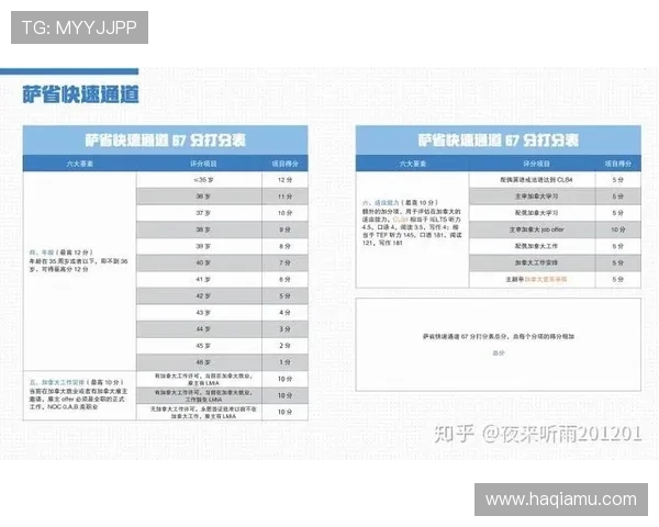 企业家签证申请条件解析及全球主要国家政策对比分析